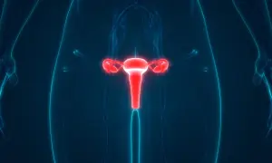 Anatomia układu rozrodczego kobiety, z uwydatnioną na czerwono macicą i jajowodami. To ważny element w badaniach, np. test roma.