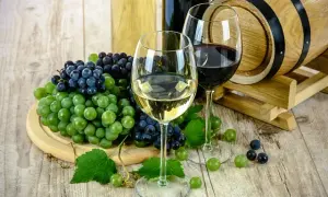Bezpieczne spożywanie alkoholu podczas terapii Seronilem - kluczowe zasady