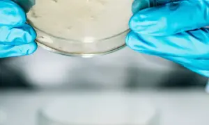 Jak założyć laboratorium mikrobiologiczne - kluczowe wymagania i procedury