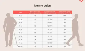 Tabela norm pulsu pokazuje, że tętno spoczynkowe dla 20-latka to 70 uderzeń/min, a dla 65-latka również 79.