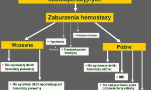 Objawy zaburzeń hemostazy – jak rozpoznać problemy z krzepnięciem krwi?