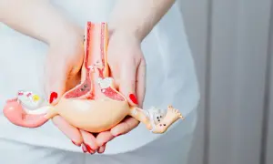 Model narządu rodnego kobiety trzymany w dłoniach.