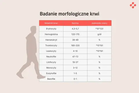 Tabela z badaniem morfologicznym krwi: co to jest? Pokazuje normy dla erytrocytów, hemoglobiny, hematokrytu, trombocytów i leukocytów.