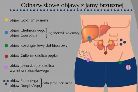 Objaw Jaworskiego lokalizuje się w okolicy wyrostka robaczkowego, zaznaczony na różowo na schemacie jamy brzusznej.