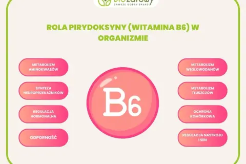 Wizualizacja przedstawia rolę witaminy B6 w organizmie: metabolizm aminokwasów, węglowodanów, tłuszczów, syntezę neuroprzekaźników, regulację hormonalną, ochronę komórkową, odporność oraz regulację nastroju i snu.