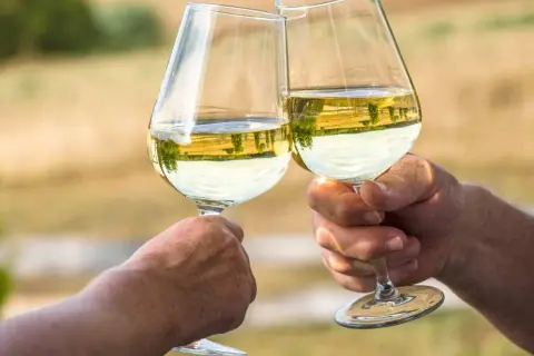 Czy przy stomii można pić alkohol - kompletny poradnik dla pacjentów