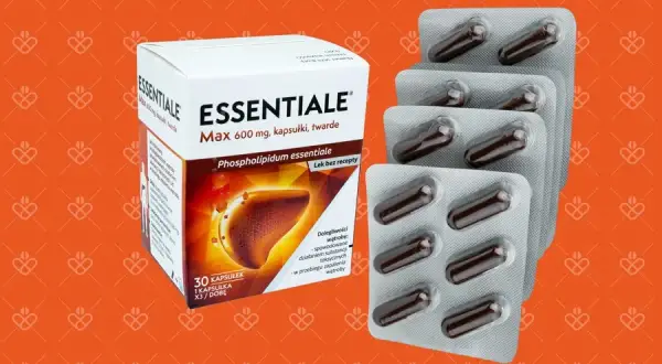 Czy można pić alkohol stosując Essentiale Forte? Wszystko co musisz wiedzieć