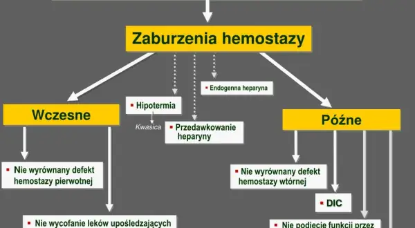 Objawy zaburzeń hemostazy – jak rozpoznać problemy z krzepnięciem krwi?