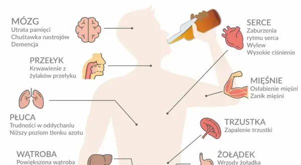 Ilustracja przedstawia sylwetkę człowieka z zaznaczonymi organami i ich schorzeniami spowodowanymi przez alkoholizm.