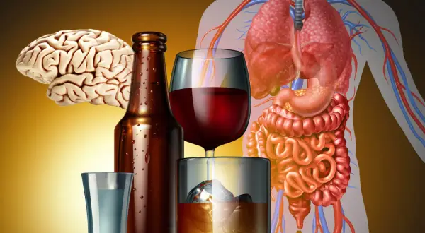Mózg, płuca, żołądek i jelita obok alkoholu. Czy biorąc Polvertic można pić alkohol?