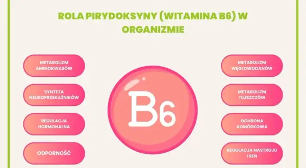 Wizualizacja przedstawia rolę witaminy B6 w organizmie: metabolizm aminokwasów, węglowodanów, tłuszczów, syntezę neuroprzekaźników, regulację hormonalną, ochronę komórkową, odporność oraz regulację nastroju i snu.