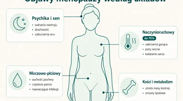 Ilustracja przedstawia objawy menopauzy: psychika i sen, naczynioruchowe, moczowo-płciowe, kości i metabolizm.