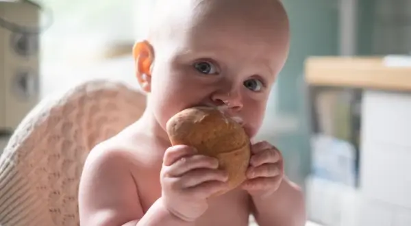 Małe dziecko z zaciekawieniem gryzie bułkę, mimo że może mieć uczulenie na gluten.