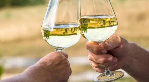 Czy przy stomii można pić alkohol - kompletny poradnik dla pacjentów