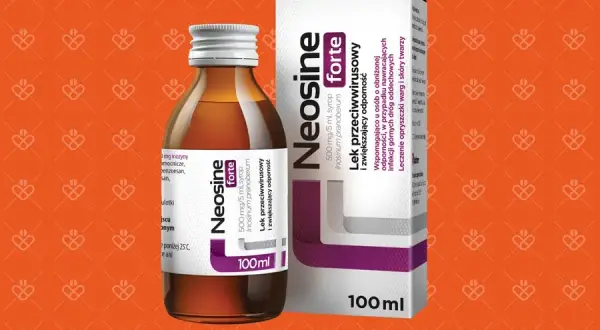 Neosine forte w trakcie picia alkoholu - poznaj zasady bezpiecznego łączenia