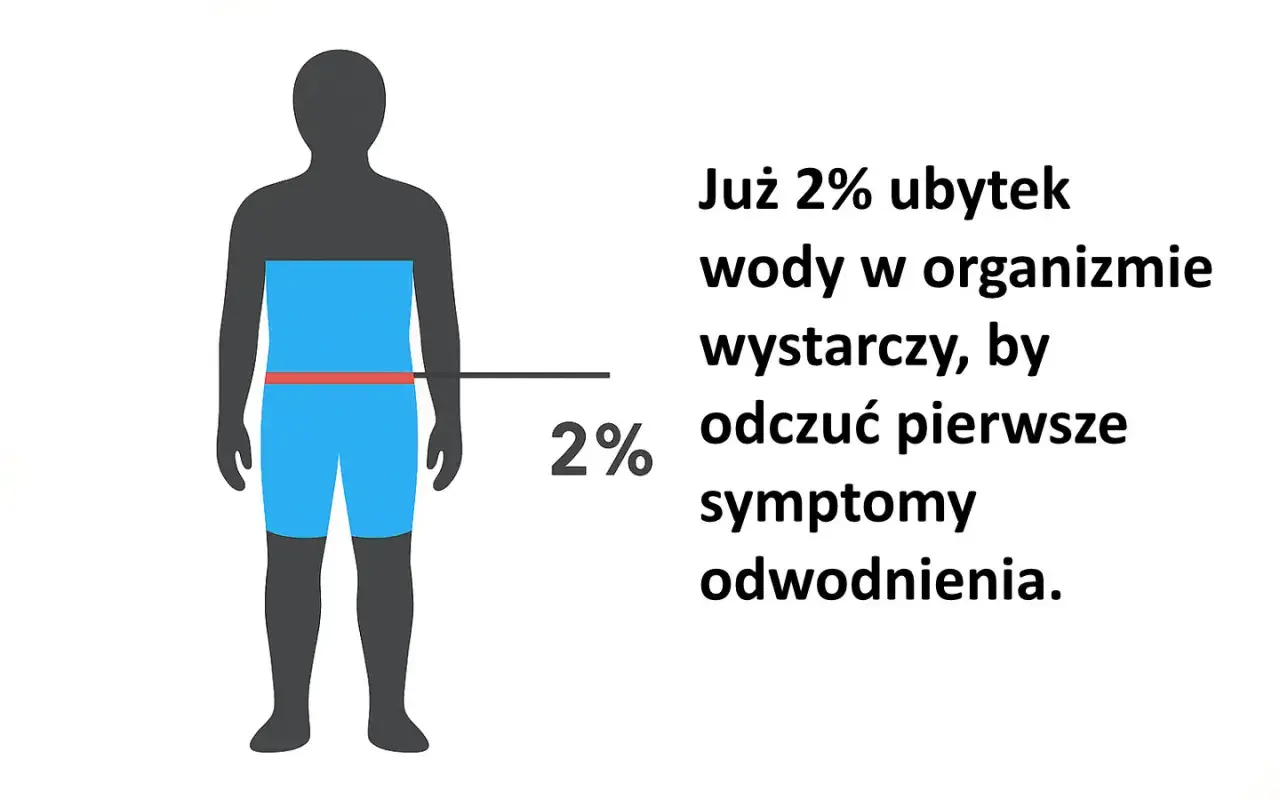 Już 2% ubytku wody w organizmie wystarczy, by odczuć pierwsze symptomy odwodnienia. Sylwetka człowieka z zaznaczonym poziomem 2% odwodnienia.