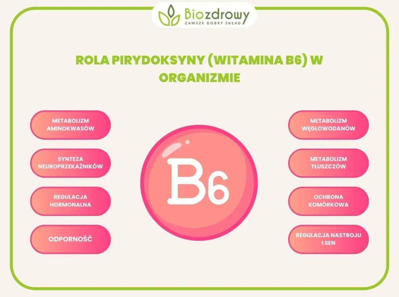 Wizualizacja przedstawia rolę witaminy B6 w organizmie: metabolizm aminokwasów, węglowodanów, tłuszczów, syntezę neuroprzekaźników, regulację hormonalną, ochronę komórkową, odporność oraz regulację nastroju i snu.