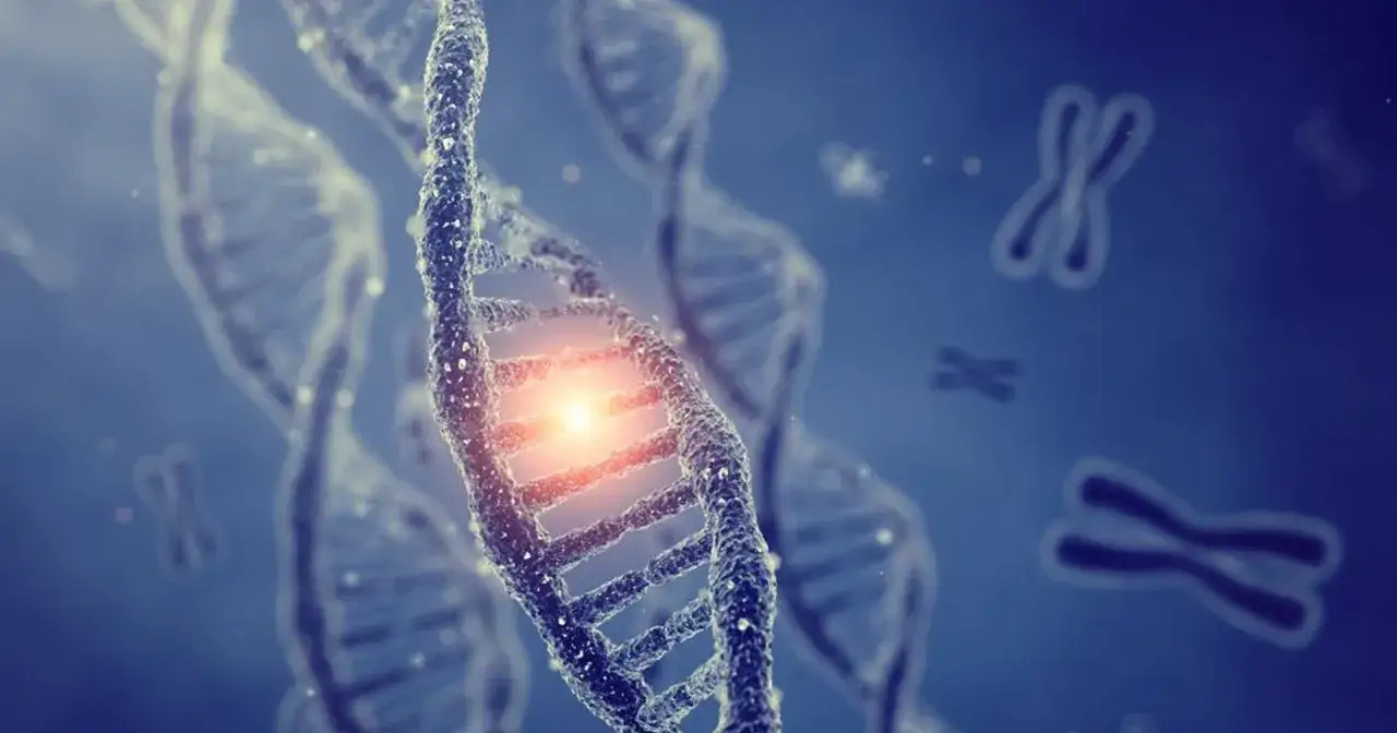 Genetyczne podstawy zespołu Klinefeltera: podwójna helisa DNA i chromosomy X.