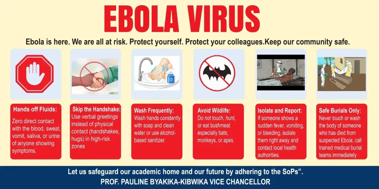 Grafika informuje o zagrożeniu wirusem ebola. Pokazuje jak unikać kontaktu, myć ręce i izolować chorych, by zapobiec rozprzestrzenianiu się eboli.