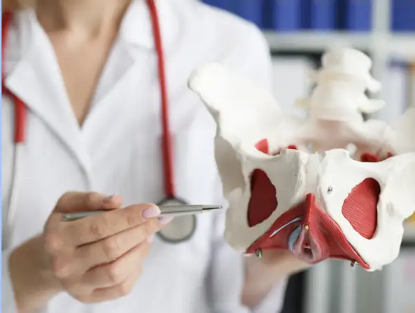 Urologia i fizjoterapia uroginekologiczna - kiedy objawy z układu moczowego wymagają konsultacji?
