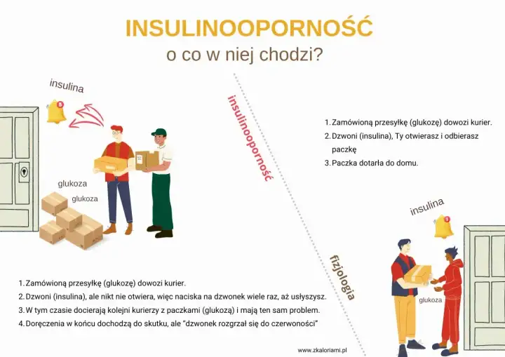 Ilustracja wyjaśnia insulinooporność: kurierzy z glukozą dzwonią, ale insulina nie otwiera, co utrudnia dostarczenie.
